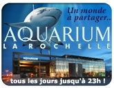 Aquarium La Rochelle