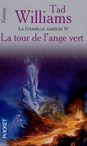 L'arcane des épées Tome  8 :  La tour de l'Ange vert