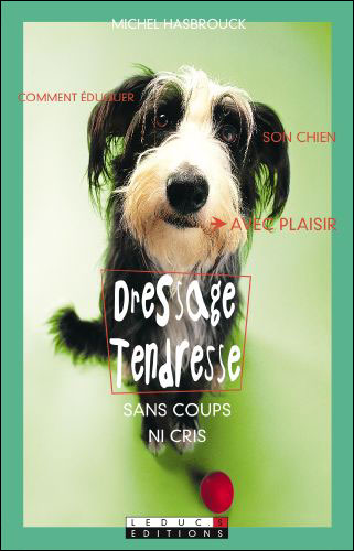 Dressage tendresse : le chien